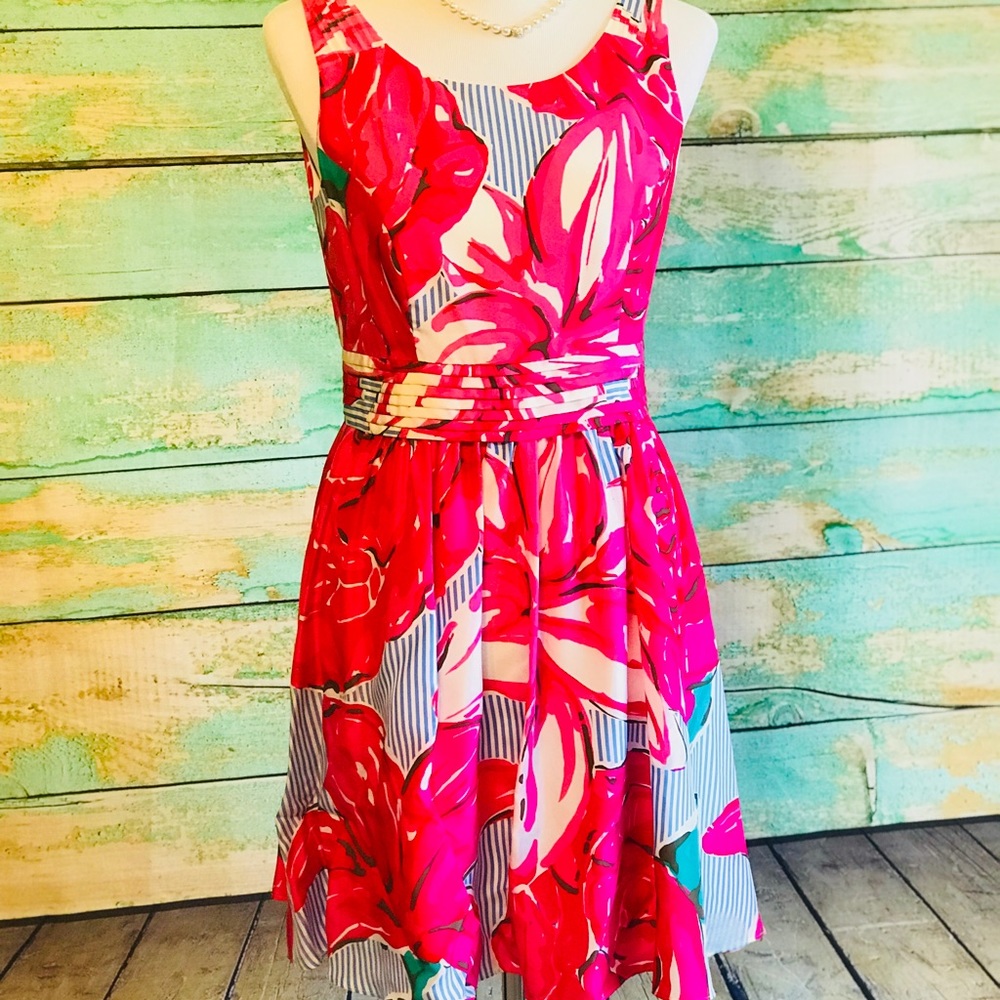 Vineyard Vines Special Edition Derby Dress 2017